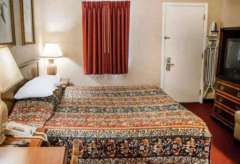 キングサイズベッドのスタンダードルーム, Rodeway Inn