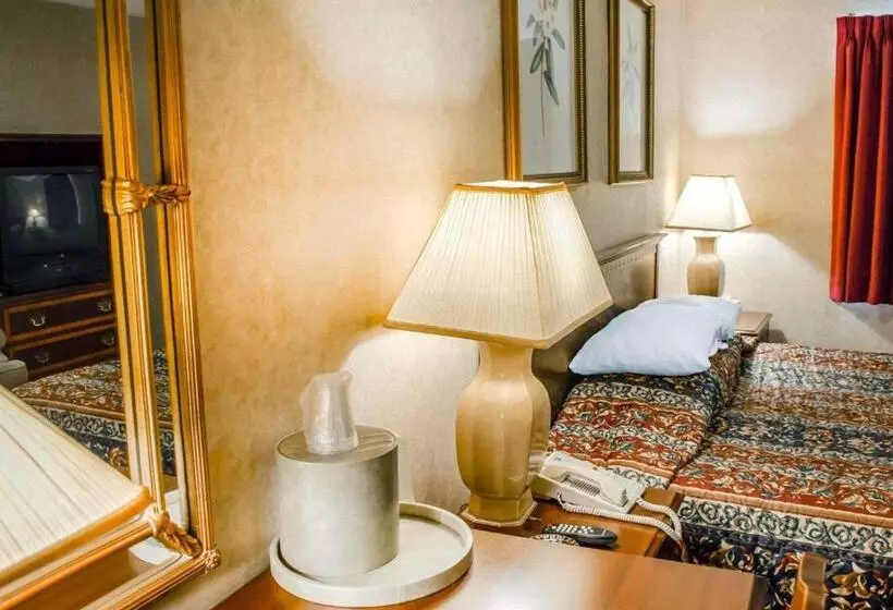 キングサイズベッドのスタンダードルーム, Rodeway Inn