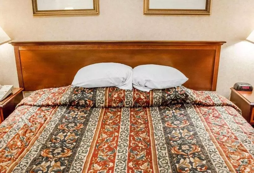 キングサイズベッドのスタンダードルーム, Rodeway Inn