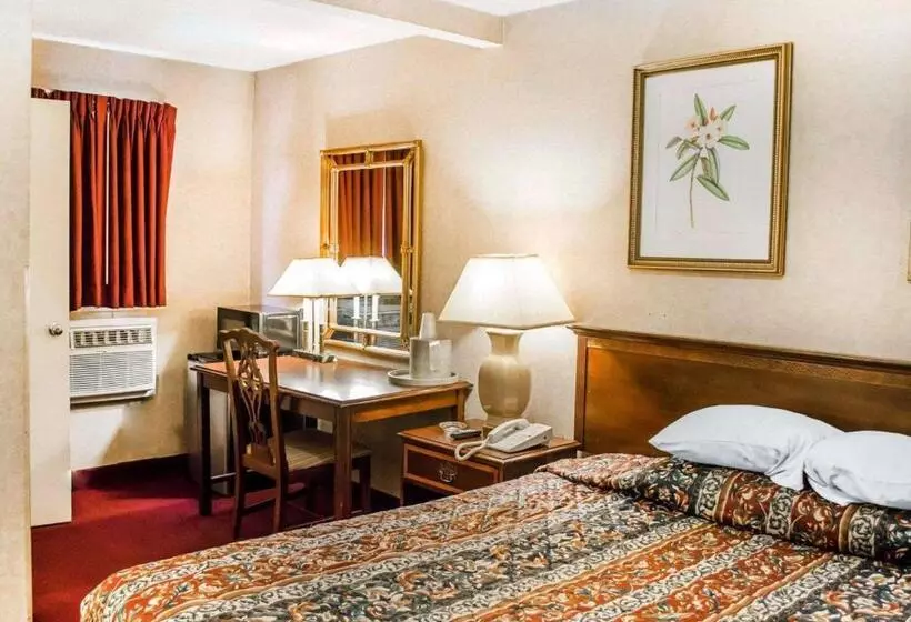 キングサイズベッドのスタンダードルーム, Rodeway Inn