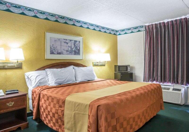 اتاق استاندارد با تخت بزرگ, Rodeway Inn