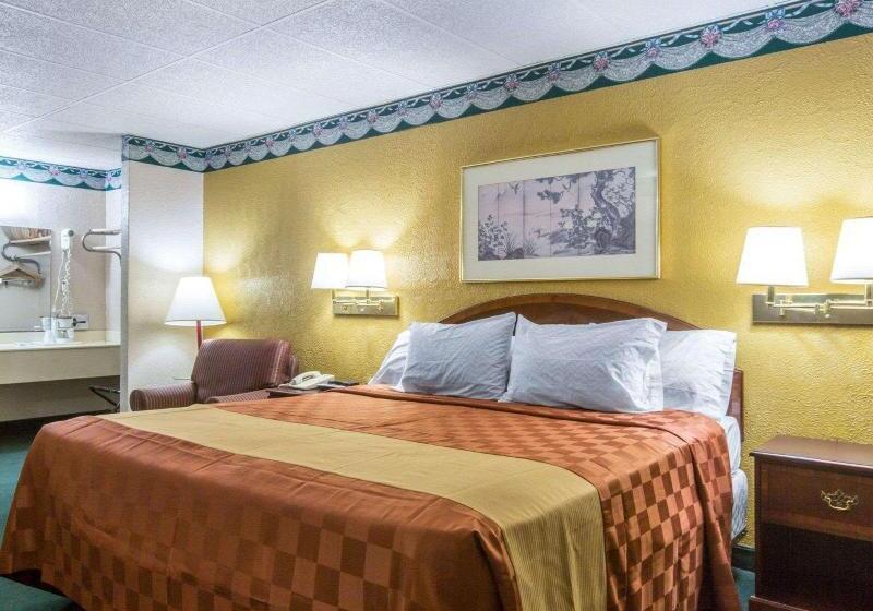 اتاق استاندارد با تخت بزرگ, Rodeway Inn