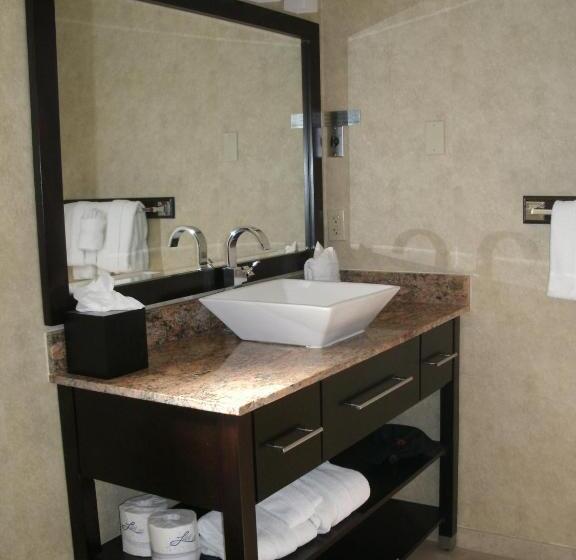 스탠다드 룸 킹사이즈 침대, Rosedale Inn