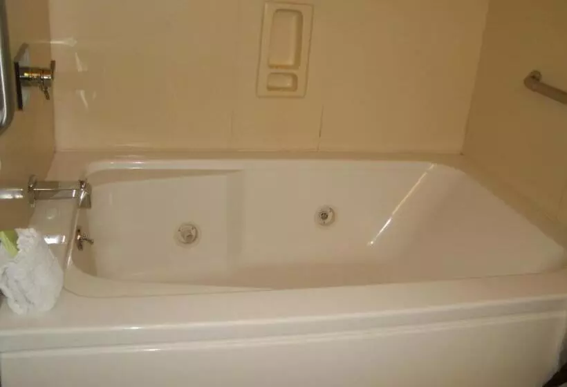 身障者適用キングサイズベッドルーム, Rosedale Inn