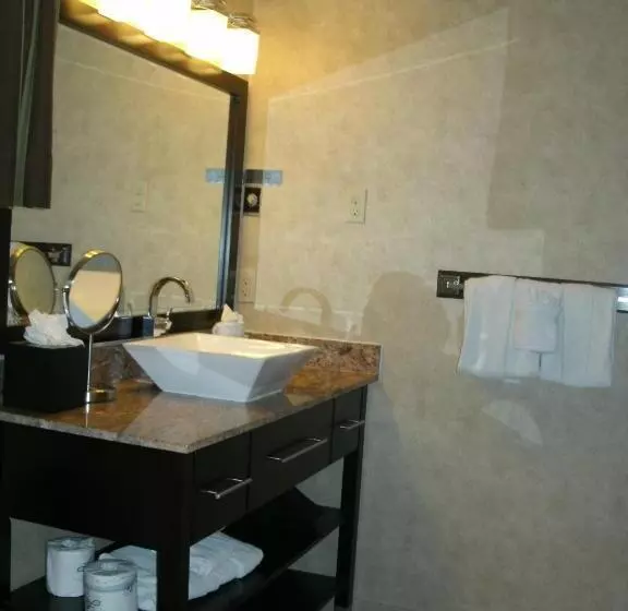 身障者適用キングサイズベッドルーム, Rosedale Inn
