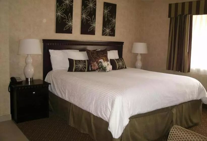 身障者適用キングサイズベッドルーム, Rosedale Inn