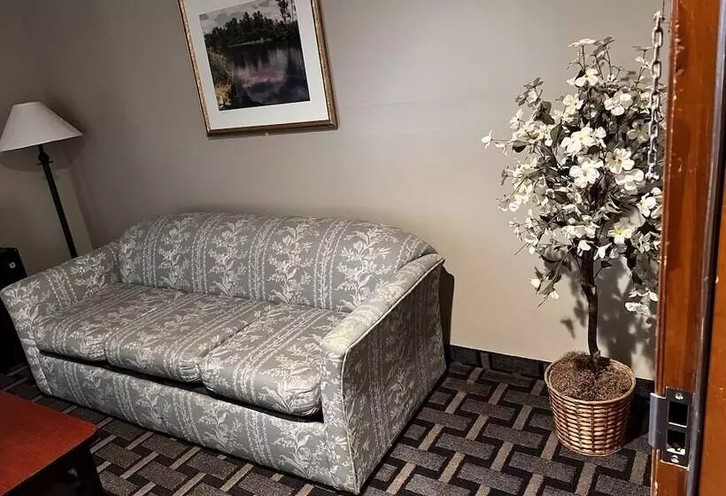 スタンダードルーム, Sky Lodge Inn & Suites  Delavan