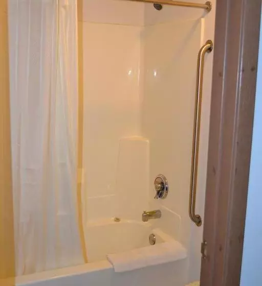 キングサイドベッドのスタンダードワンルーム, Sky Lodge Inn & Suites  Delavan