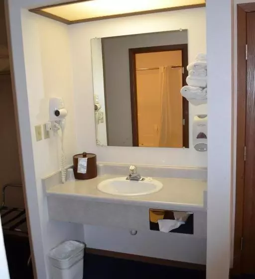 キングサイドベッドのスタンダードワンルーム, Sky Lodge Inn & Suites  Delavan