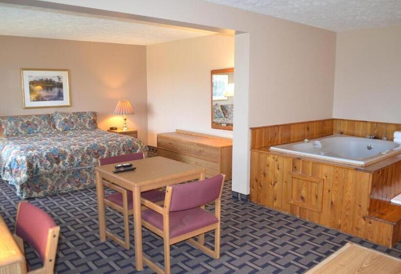 Студио Стандарт Кровать Кинг, Sky Lodge Inn & Suites  Delavan