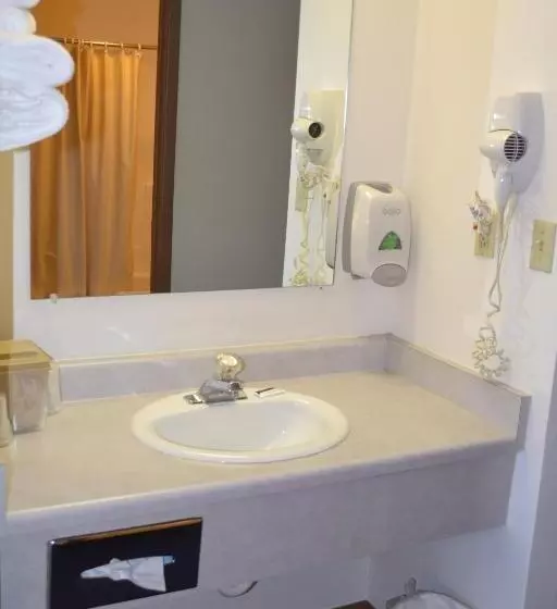 キングサイズベッドのスタンダードルーム, Sky Lodge Inn & Suites  Delavan
