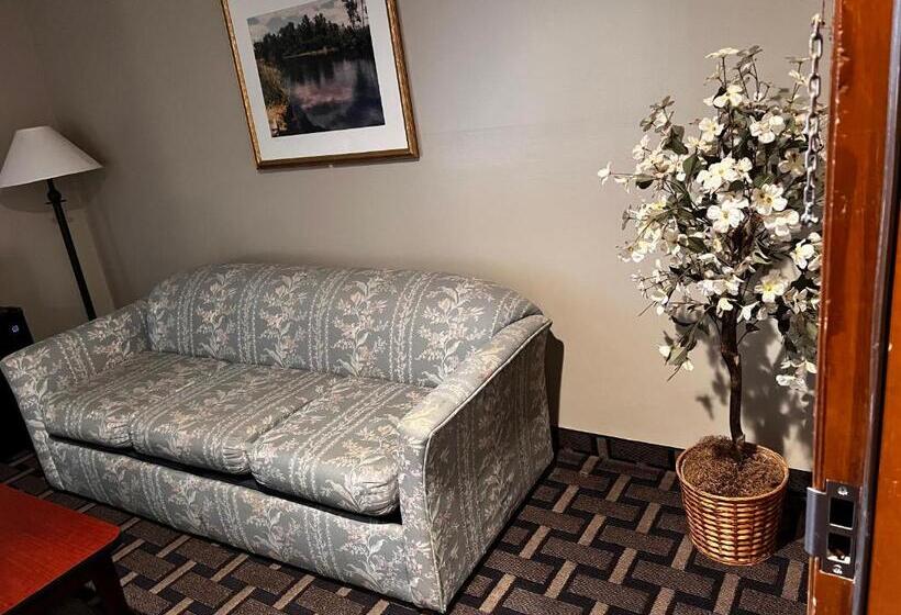 غرفة قياسية سرير كينج, Sky Lodge Inn & Suites  Delavan