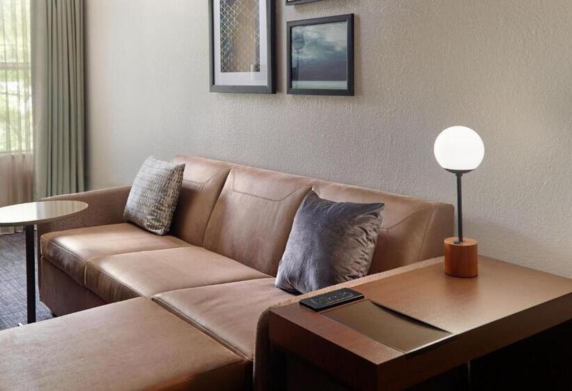 스탠다드 스튜디오 킹침대, Residence Inn Asheville Biltmore