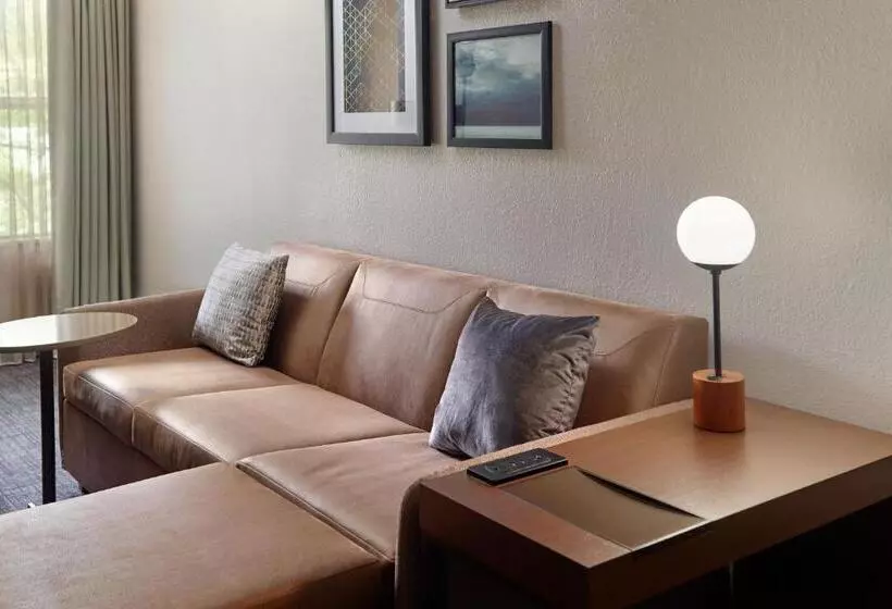 استودیو استاندارد با تخت کینگ, Residence Inn Asheville Biltmore