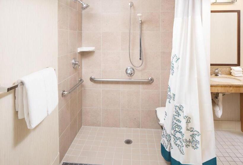 חדר סטודיו סטנדרד, Residence Inn Denver Downtown