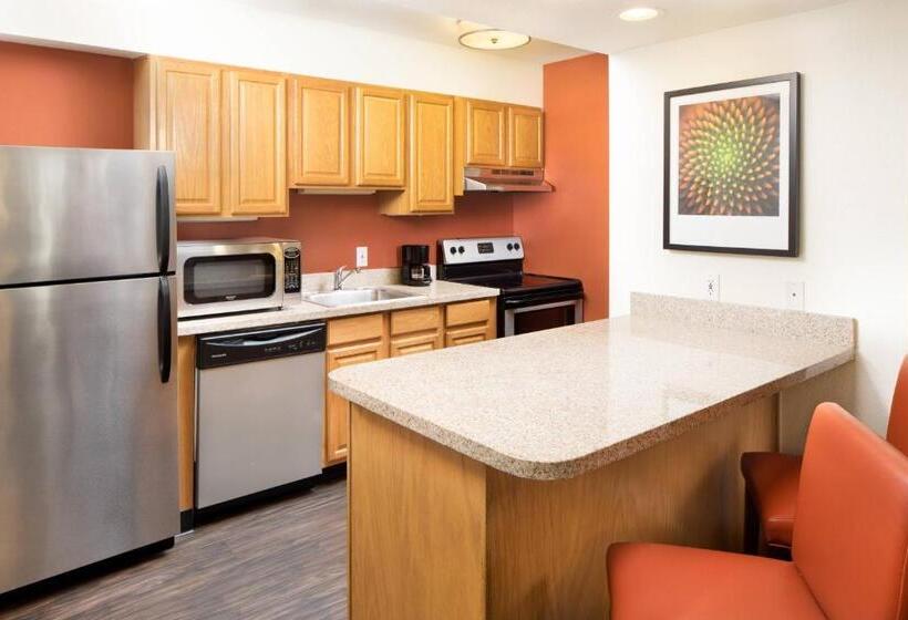 חדר סטודיו סטנדרד, Residence Inn Denver Downtown
