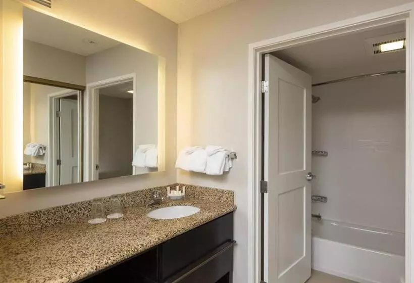 استودیو استاندارد با تخت کینگ, Residence Inn Durango Downtown