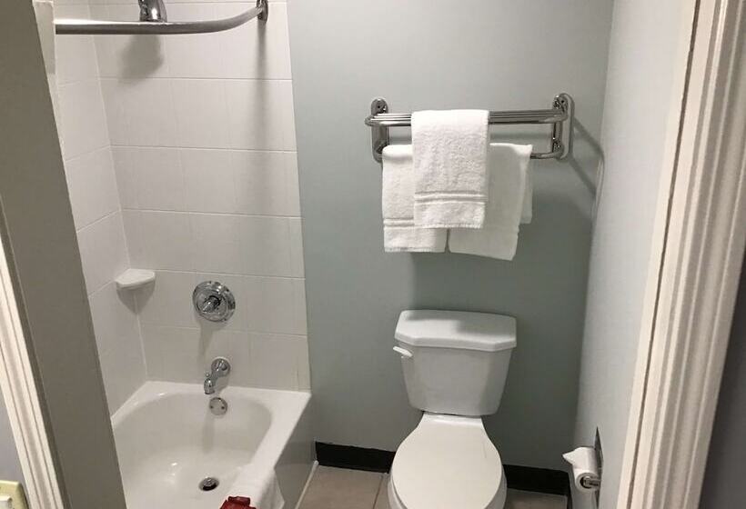 Люкс, Surestay Studio By Best Western Pensacola