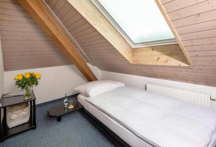 Pokój Ekonomiczny Jednoosobowy, Gasthof Enge Self Check In