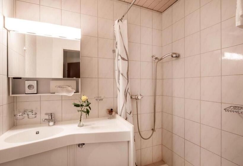 Pokój Deluxe Jednoosobowy, Gasthof Enge Self Check In