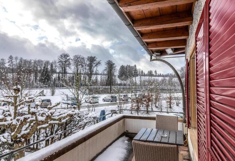 Pokój Ekonomiczny, Gasthof Enge Self Check In