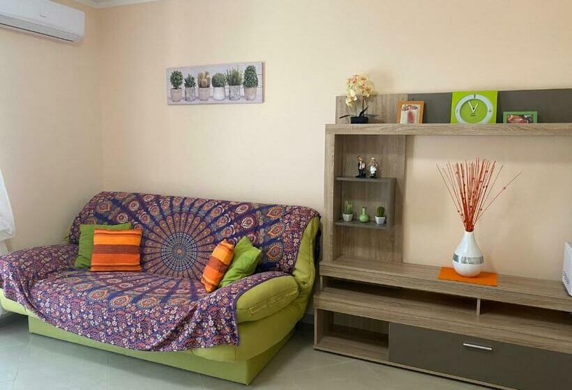 آپارتمان 1 خوابه, Apartments Villa Viktoria