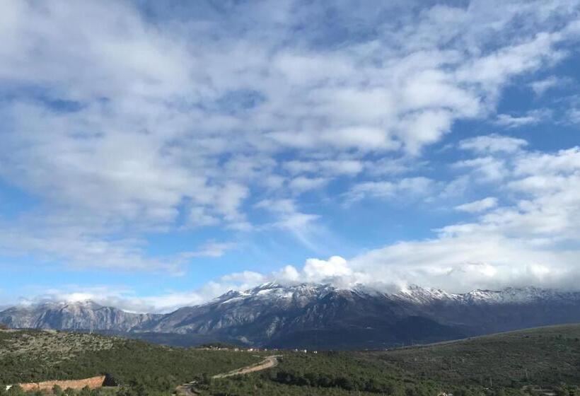 آپارتمان 1 خوابه, Apartments Villa Viktoria