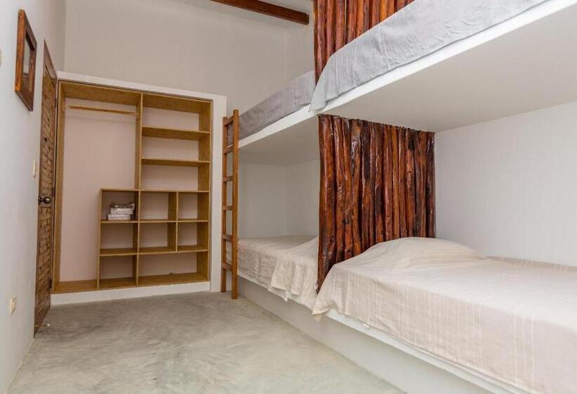 דירת שלושה חדרים, Penthouse Kahuna