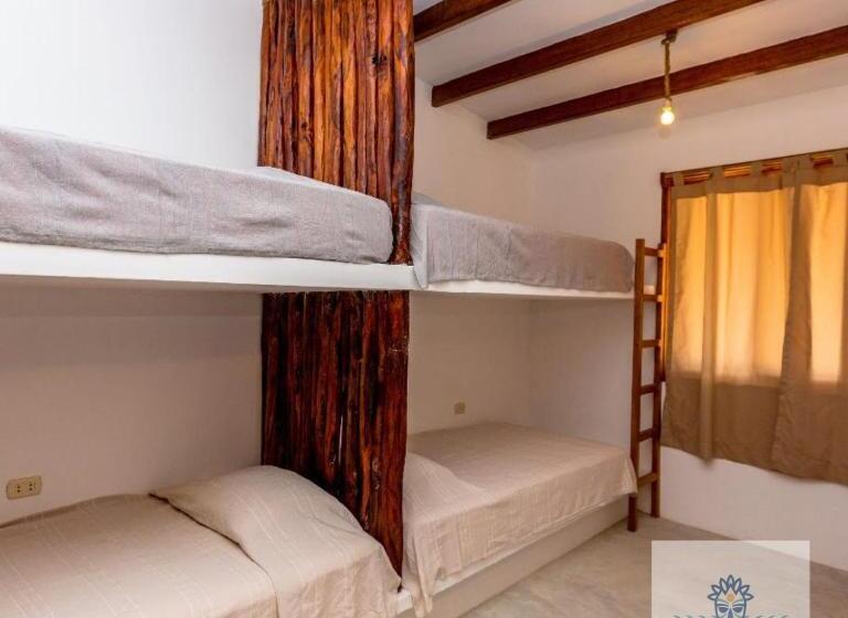 דירת שלושה חדרים, Penthouse Kahuna