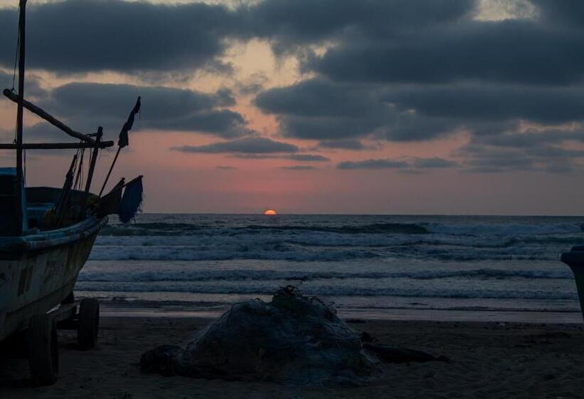 Дом 1 Спальня, Vikara