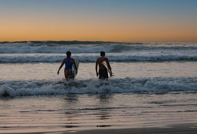 Дом 1 Спальня, Vikara