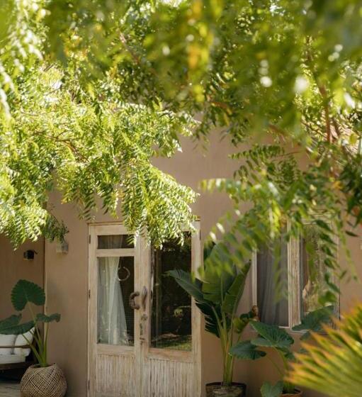 デラックスバンガロー, La Fragata