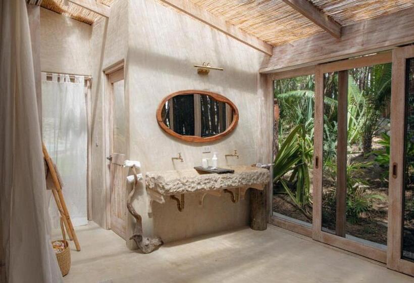 デラックスバンガロー, La Fragata