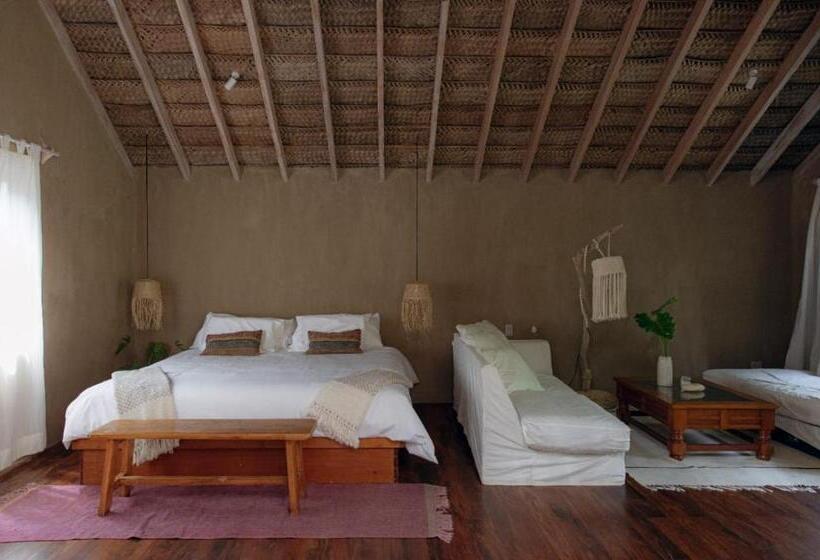 デラックスバンガロー, La Fragata