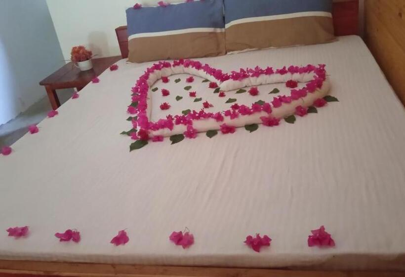 Deluxe Rum, Walkers Hostel