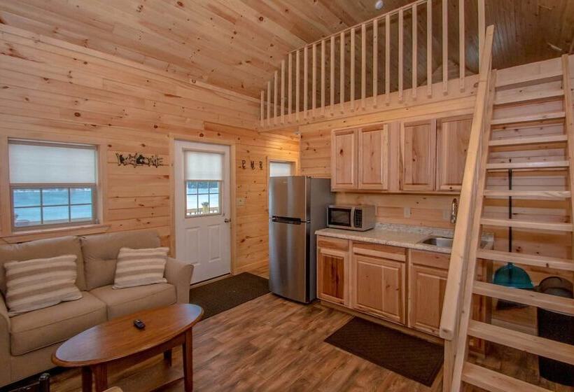 كابينة, Presidential Mountain Resort