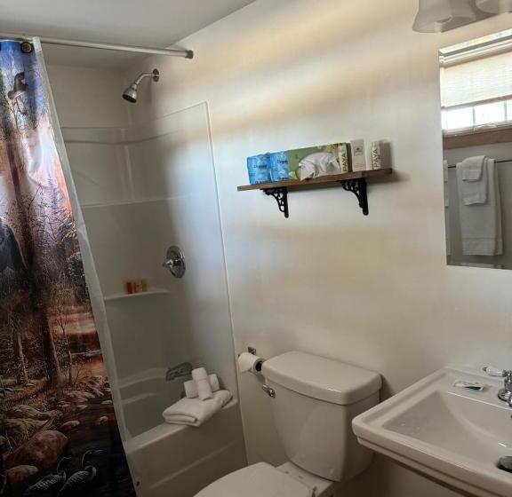 غرفة بريميوم, Presidential Mountain Resort