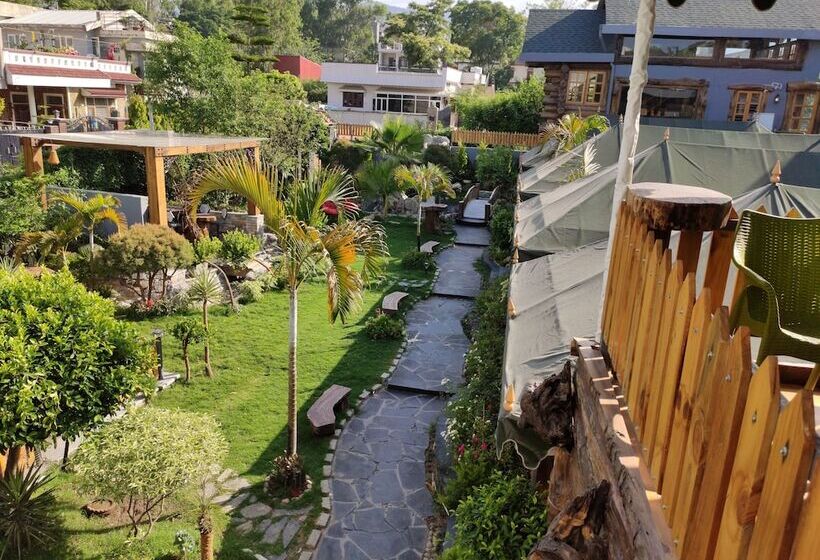 חדר דלוקס, Cabana Affair