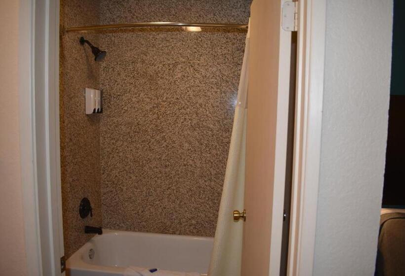 스탠다드 룸 킹사이즈 침대, Best Western Apricot Inn