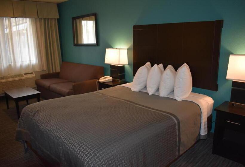 스탠다드 룸 킹사이즈 침대, Best Western Apricot Inn