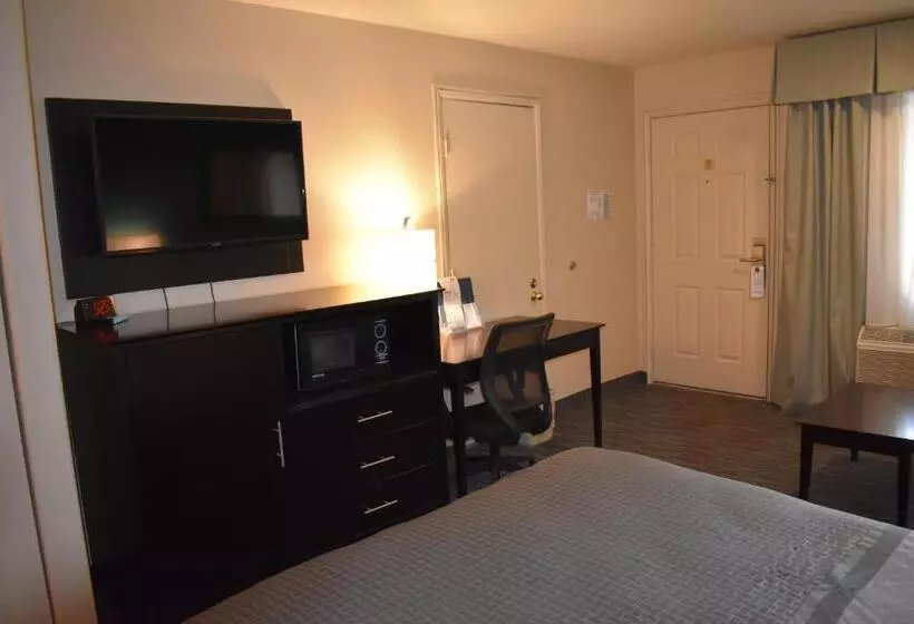 اتاق استاندارد با تخت بزرگ, Best Western Apricot Inn