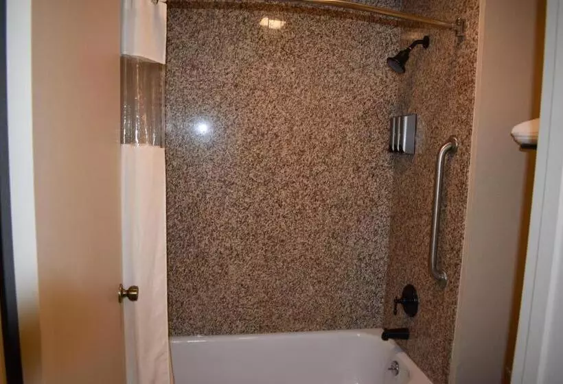اتاق استاندارد با تخت دو نفره بزرگ برای معلولان, Best Western Apricot Inn