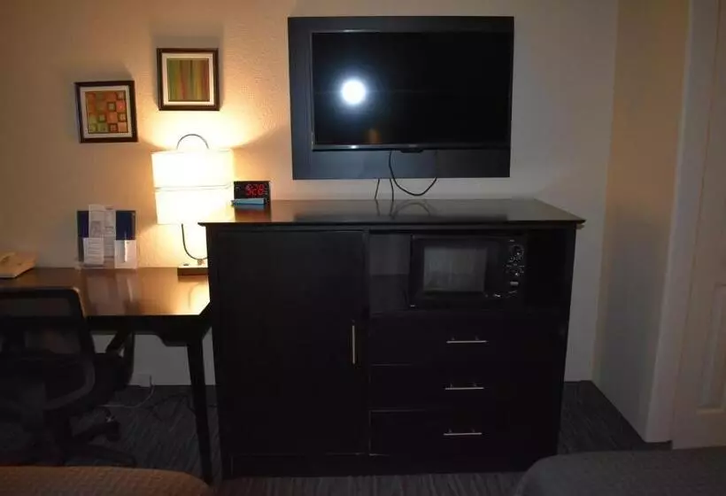 اتاق استاندارد با تخت دو نفره بزرگ برای معلولان, Best Western Apricot Inn