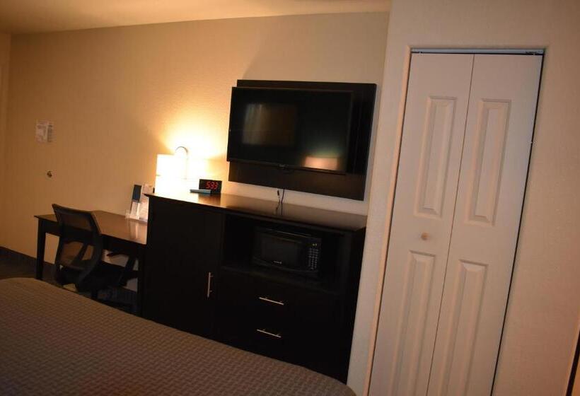 장애인을 위한 퀸사이즈 스탠다드 룸, Best Western Apricot Inn