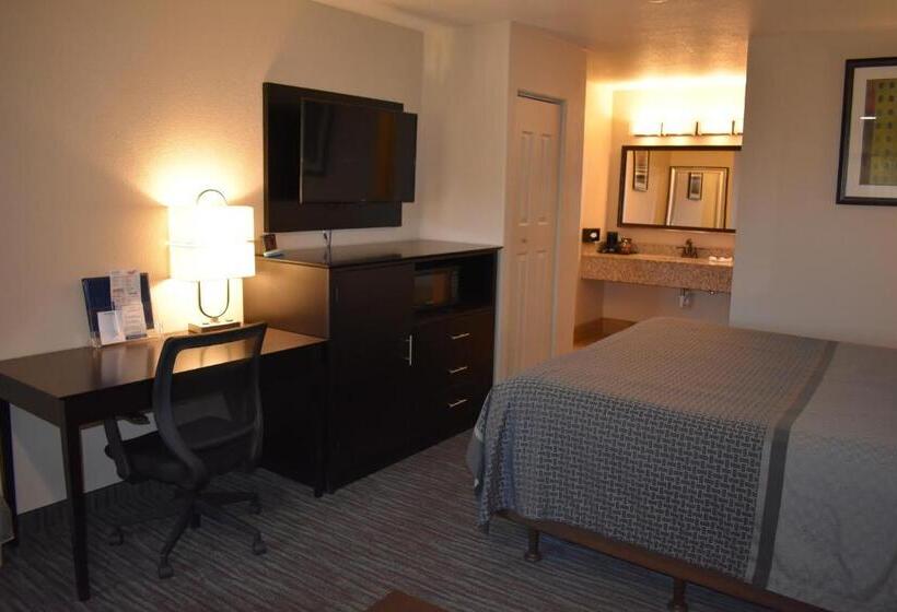 带大床的标准间, Best Western Apricot Inn