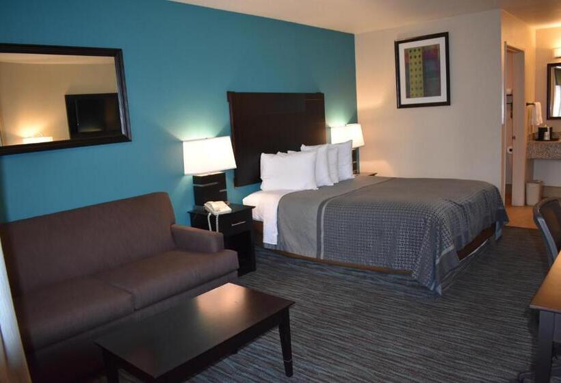 스탠다드 룸 킹사이즈 침대, Best Western Apricot Inn