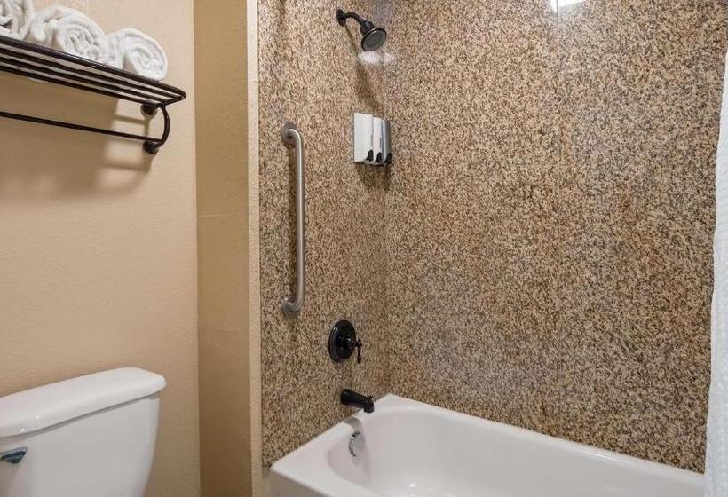 스탠다드 룸 킹사이즈 침대, Best Western Apricot Inn