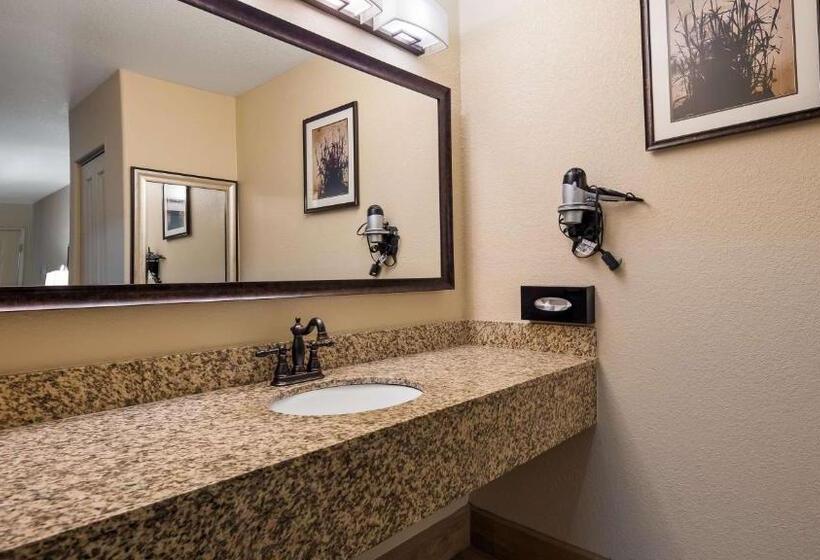 스탠다드 룸, Best Western Apricot Inn