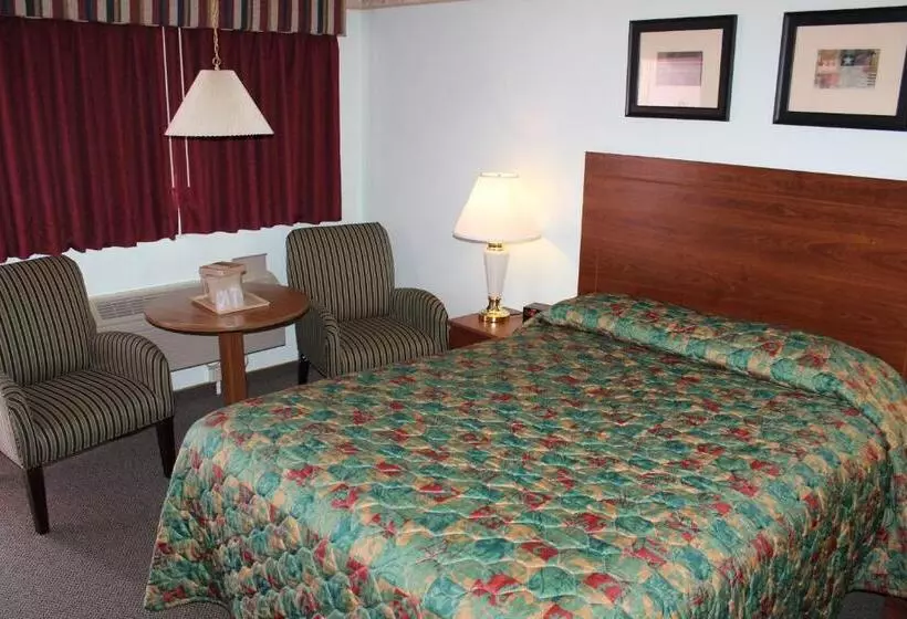 スタンダードルーム, Safari Inn