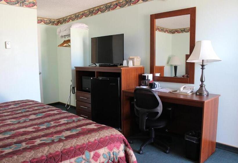 غرفة قياسية سرير كينج, Safari Inn